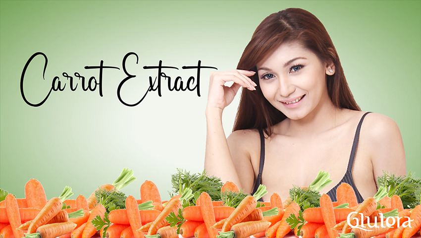 Seabrek Manfaat Carrot Extract Bagi Kesehatan 