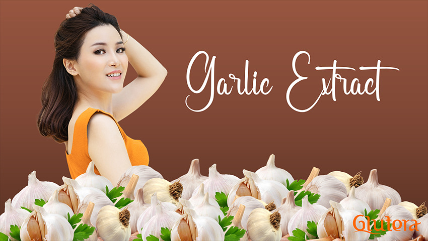 Sederet Manfaat Bawang Putih (Garlic Extrac) bagi Kesehatan